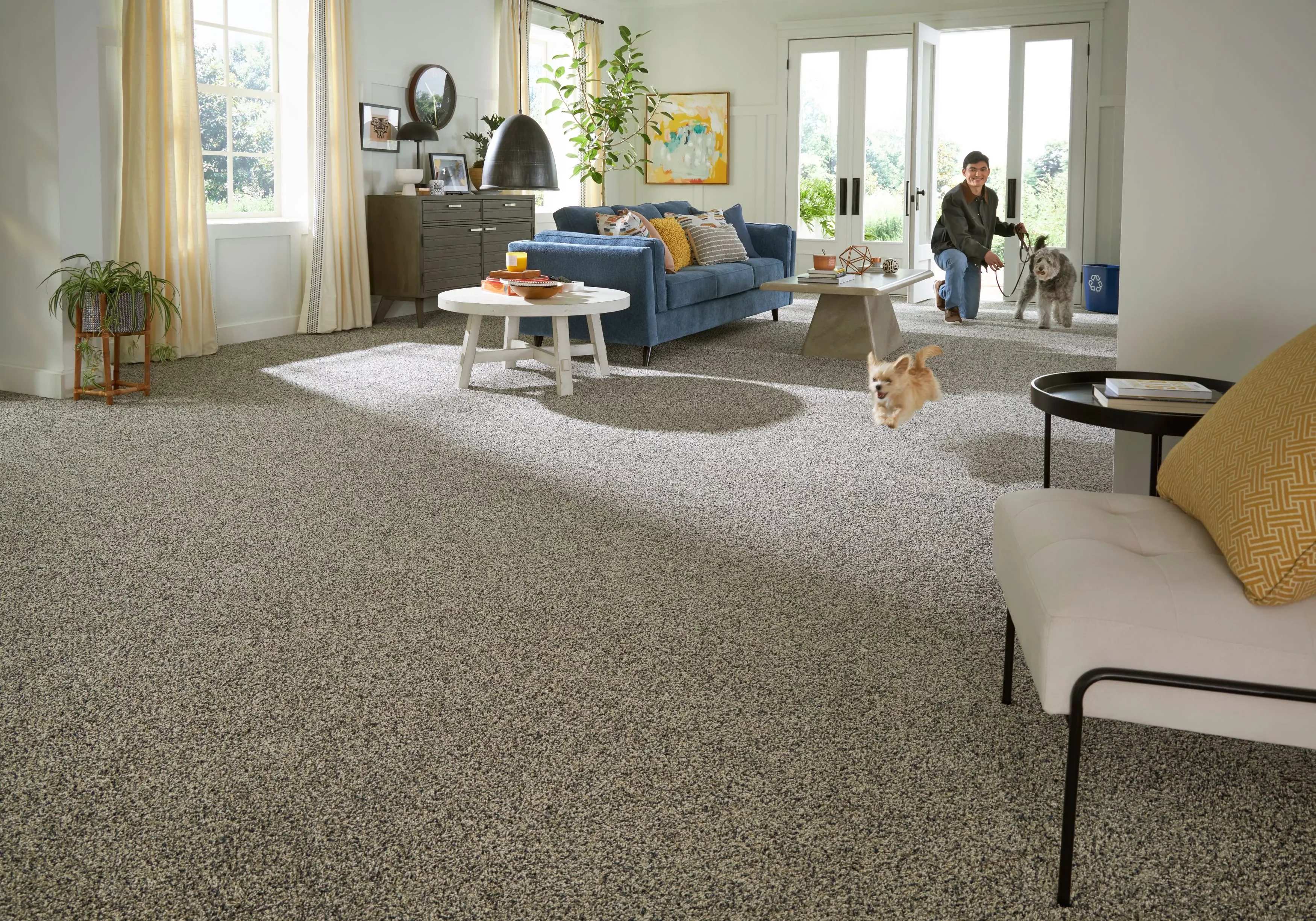 Spacious living room with grey carpet